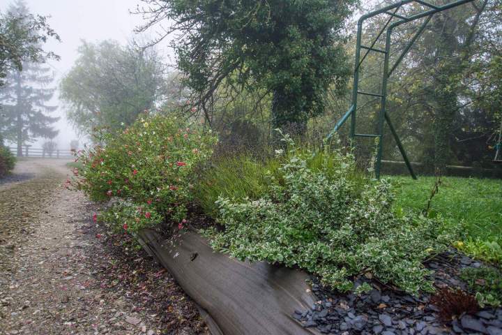 Création de jardin Alençon