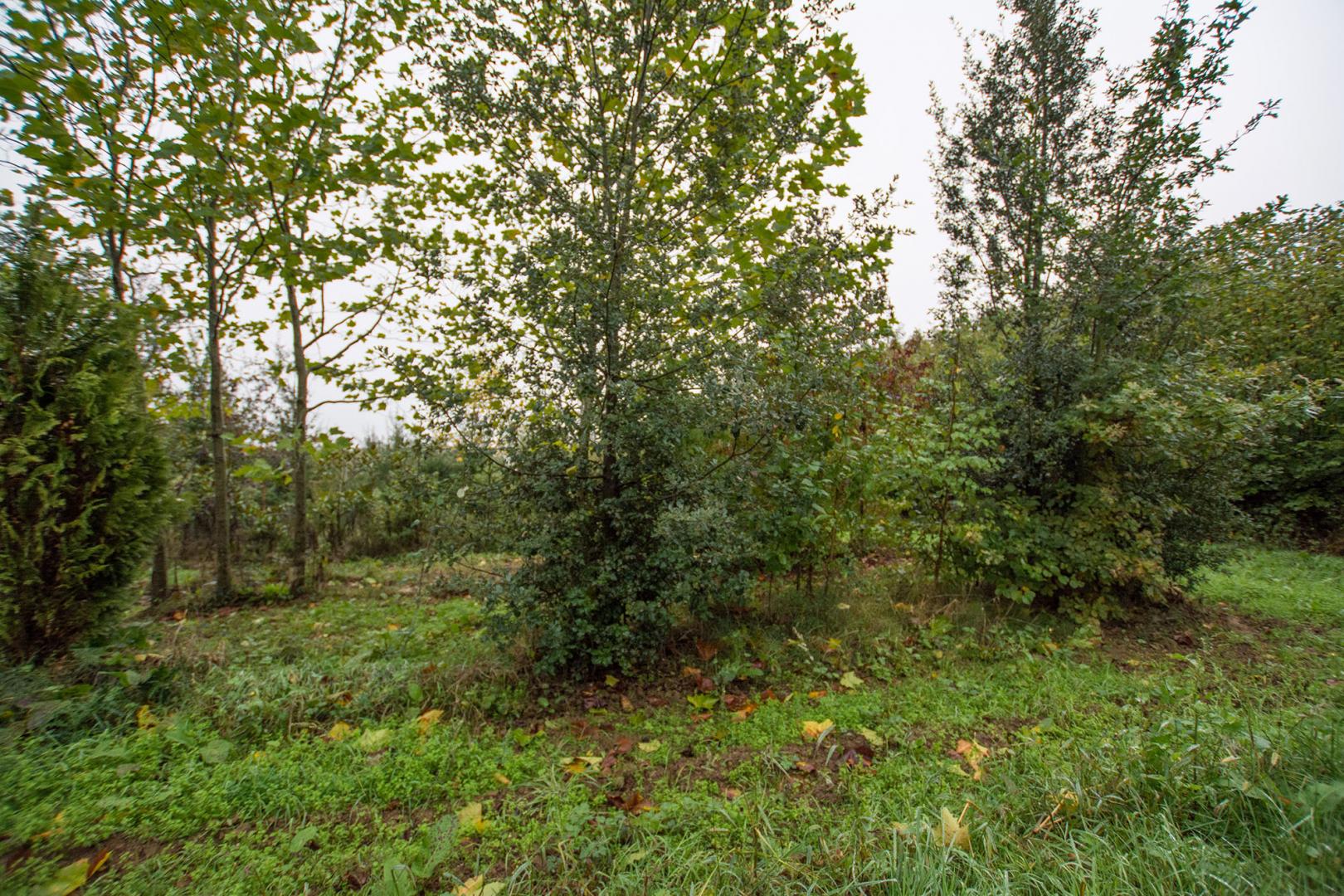Création de jardin Alençon