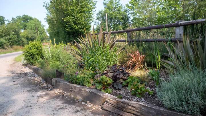 Plantation de végétaux Alençon