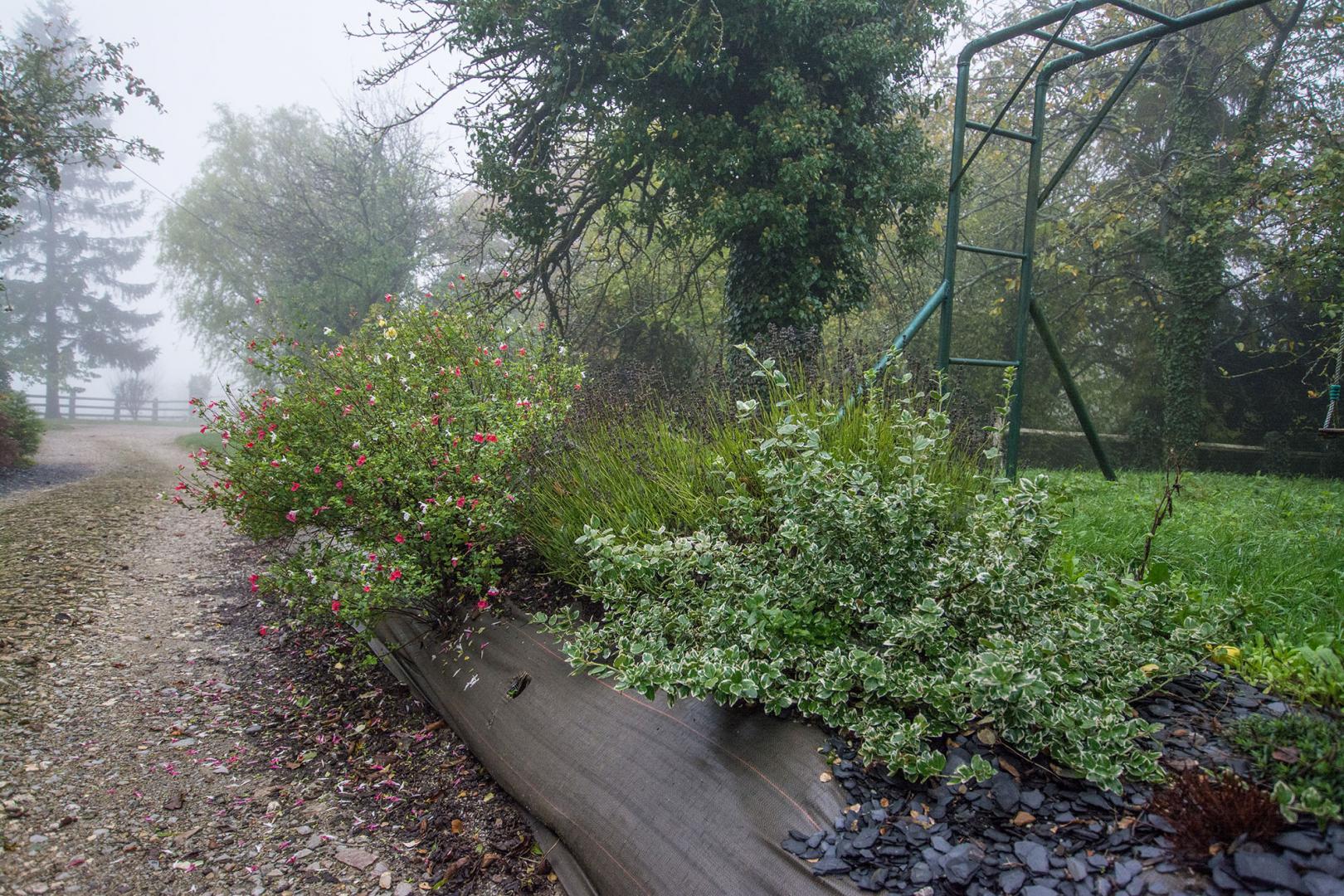 Création de jardin Ménil-Froger
