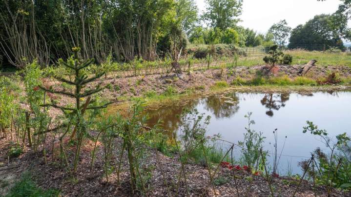 Création de jardin Alençon