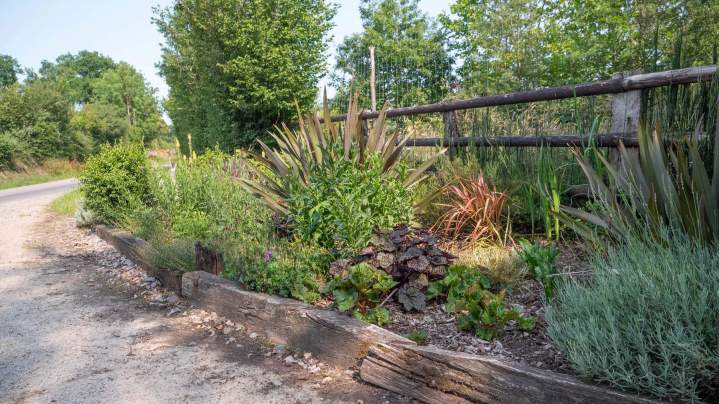 Création de jardin Alençon