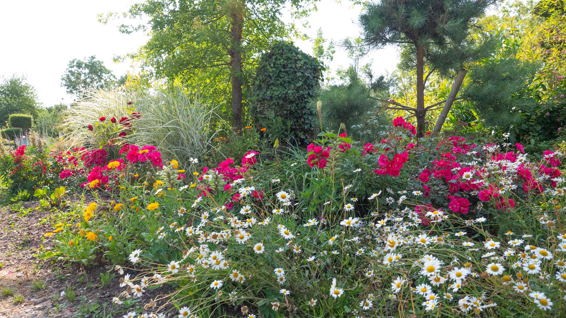 Vente de plantes Alençon