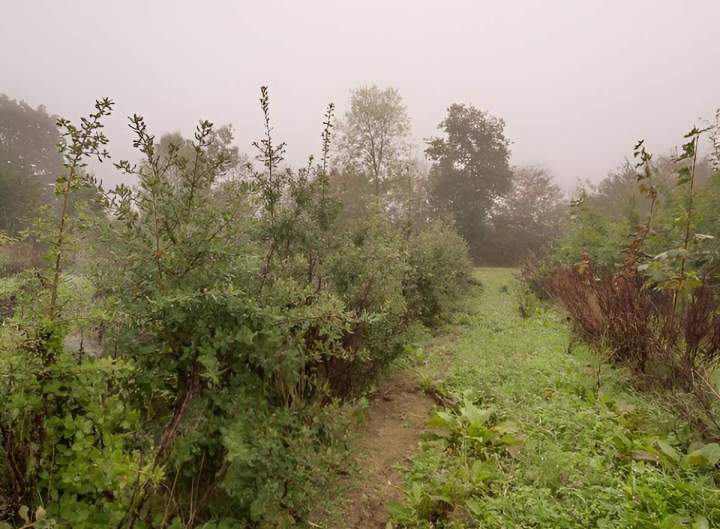 Aménagement paysager Alençon